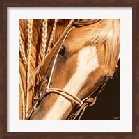 Palomino n Vogue Fine Art Print