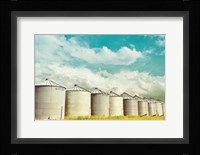 All in a Row Fine Art Print