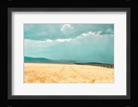 Harvest Shadow Fine Art Print