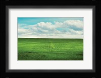 Signs of Life Fine Art Print