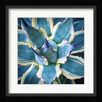 Elegant Thorns Fine Art Print