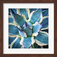 Elegant Thorns Fine Art Print