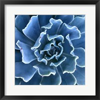 Ruffled Edges Fine Art Print