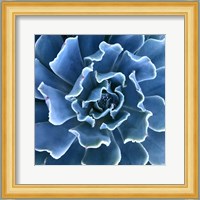 Ruffled Edges Fine Art Print