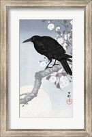 Crow at Full Moon, 1900-1930 Fine Art Print