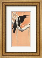Crow on a Snowy Bough, 1900-1930 Fine Art Print