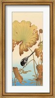 Japanese Wagtail on Lotus Plant, 1925-1936 Fine Art Print