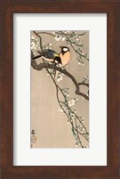 Songbirds on Cherry Branch, 1900-1910 Fine Art Print