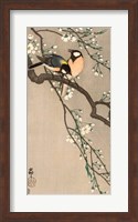 Songbirds on Cherry Branch, 1900-1910 Fine Art Print