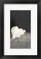Two Egrets in the Reeds, 1900-1930 Fine Art Print