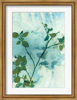 Leaves and Sky Fine Art Print