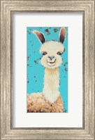 Llama Sue Fine Art Print