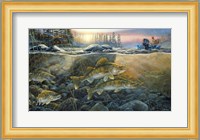 Walleyes On The Rocks Fine Art Print