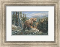 Grizzlies Domain Fine Art Print
