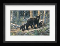 Woodland Lessons Fine Art Print