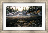 Fishing The Falls Fine Art Print