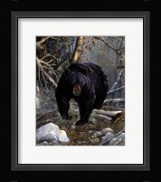 Haunter Of The Pine Fine Art Print