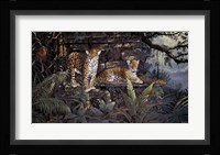 Jaguars Fine Art Print