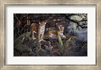 Jaguars Fine Art Print