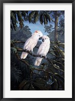 Cockatoo Fine Art Print