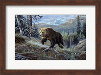 Over The Top Grizzly Fine Art Print