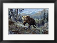 Over The Top Grizzly Fine Art Print