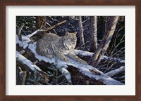 Snow Moon Lynx Fine Art Print