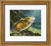 Deep Water Prowler Fine Art Print