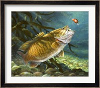 Deep Water Prowler Fine Art Print
