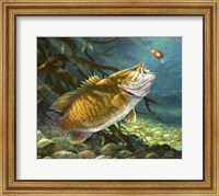 Deep Water Prowler Fine Art Print