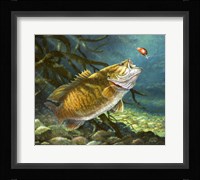 Deep Water Prowler Fine Art Print