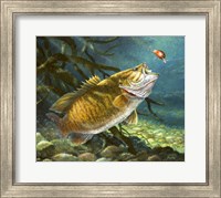 Deep Water Prowler Fine Art Print