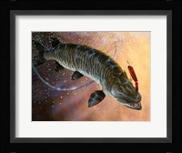 Net Muskie Fine Art Print