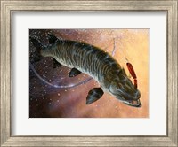 Net Muskie Fine Art Print