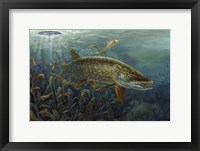 Ice Pike Fine Art Print