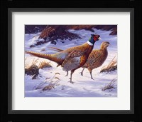 Along The Edge Fine Art Print