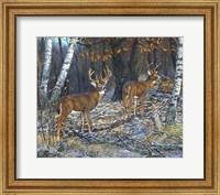 Buck And A Half Fine Art Print