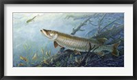Fish Of A Lifetime Fine Art Print