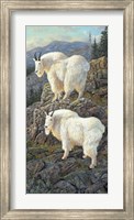 Goat Country Fine Art Print