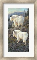 Goat Country Fine Art Print