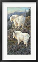 Goat Country Fine Art Print