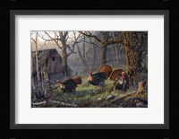 Kings Of The Hill Fine Art Print