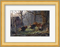 Kings Of The Hill Fine Art Print