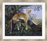Leopard's Domain Fine Art Print