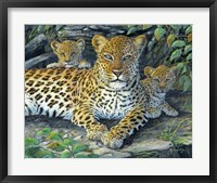 Leopards' Lair Fine Art Print
