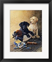 Look Of Innocensce Fine Art Print