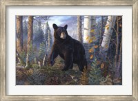 Lord Of The Timberline Fine Art Print