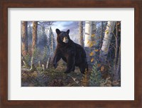Lord Of The Timberline Fine Art Print