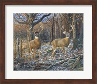 Pair Of Eights Fine Art Print