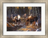 Rumble Fine Art Print